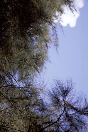 性插片试看一下手机在线观看_性插片试看一下迅雷下载