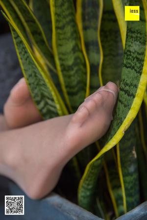 一二区成人影院电影网_yy6080理论三级韩国日本