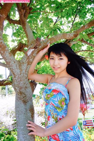 久草成人在线观看手机在线观看_久草成人在线观看迅雷下载